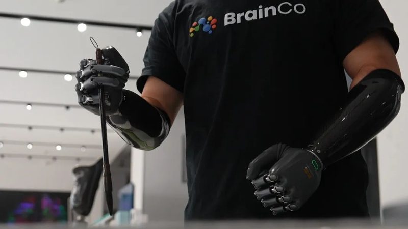 云服务器与物理机：性能与成本的权衡之道